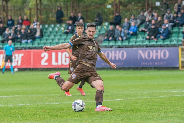 还引起了国 还引起了国